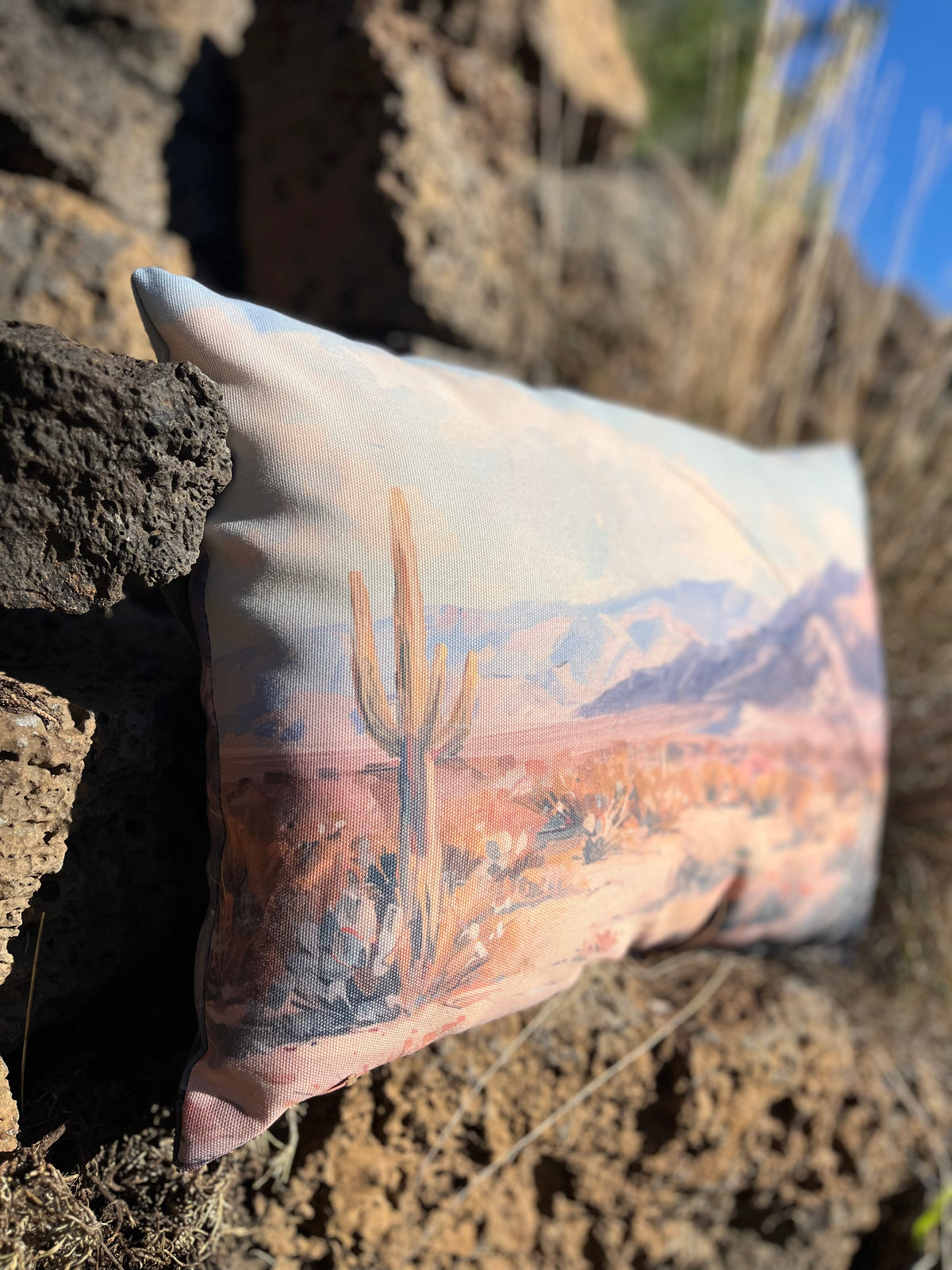 Dreamy Desert Indoor/Outdoor Climaweave Pillow