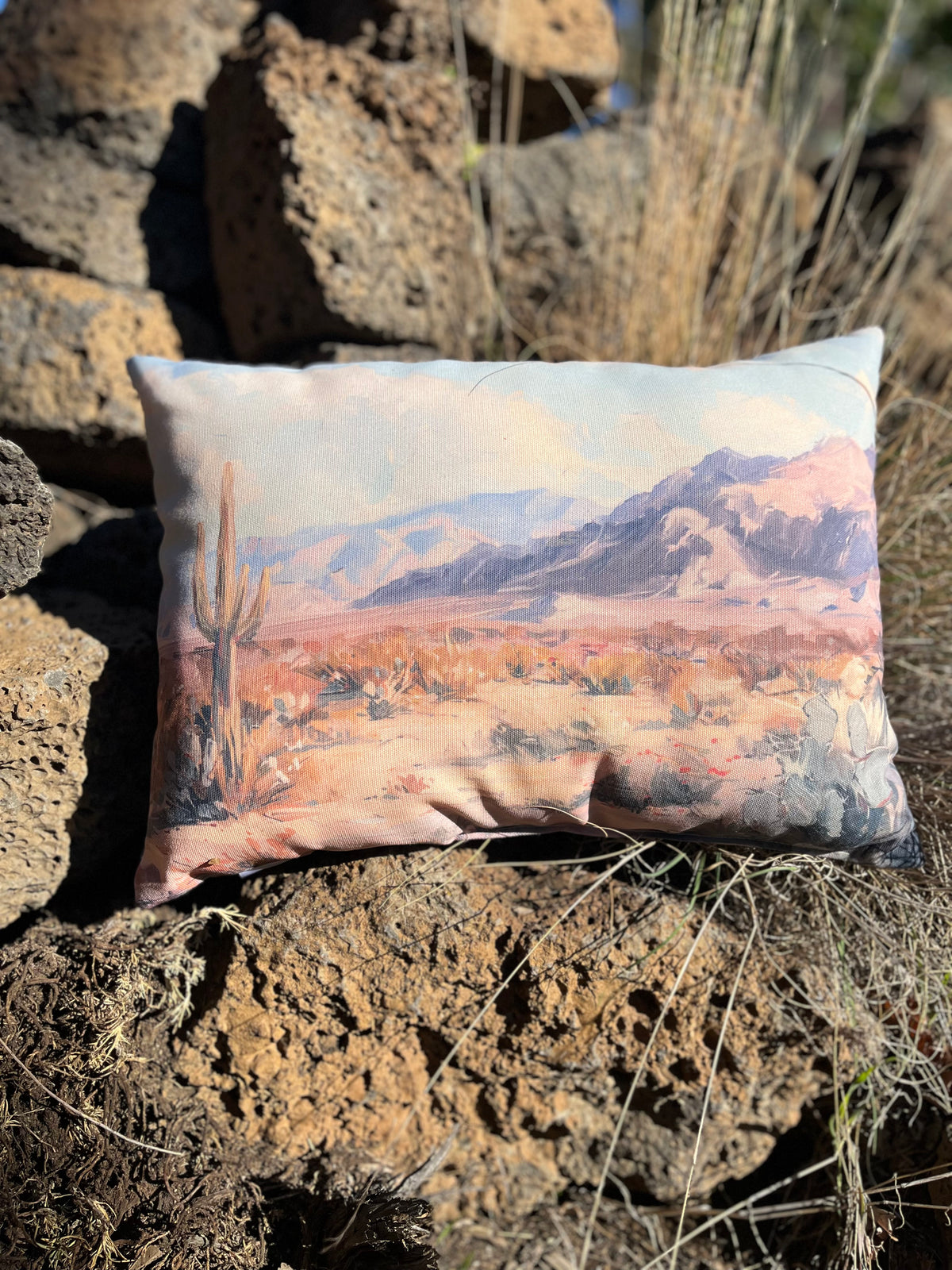Dreamy Desert Indoor/Outdoor Climaweave Pillow