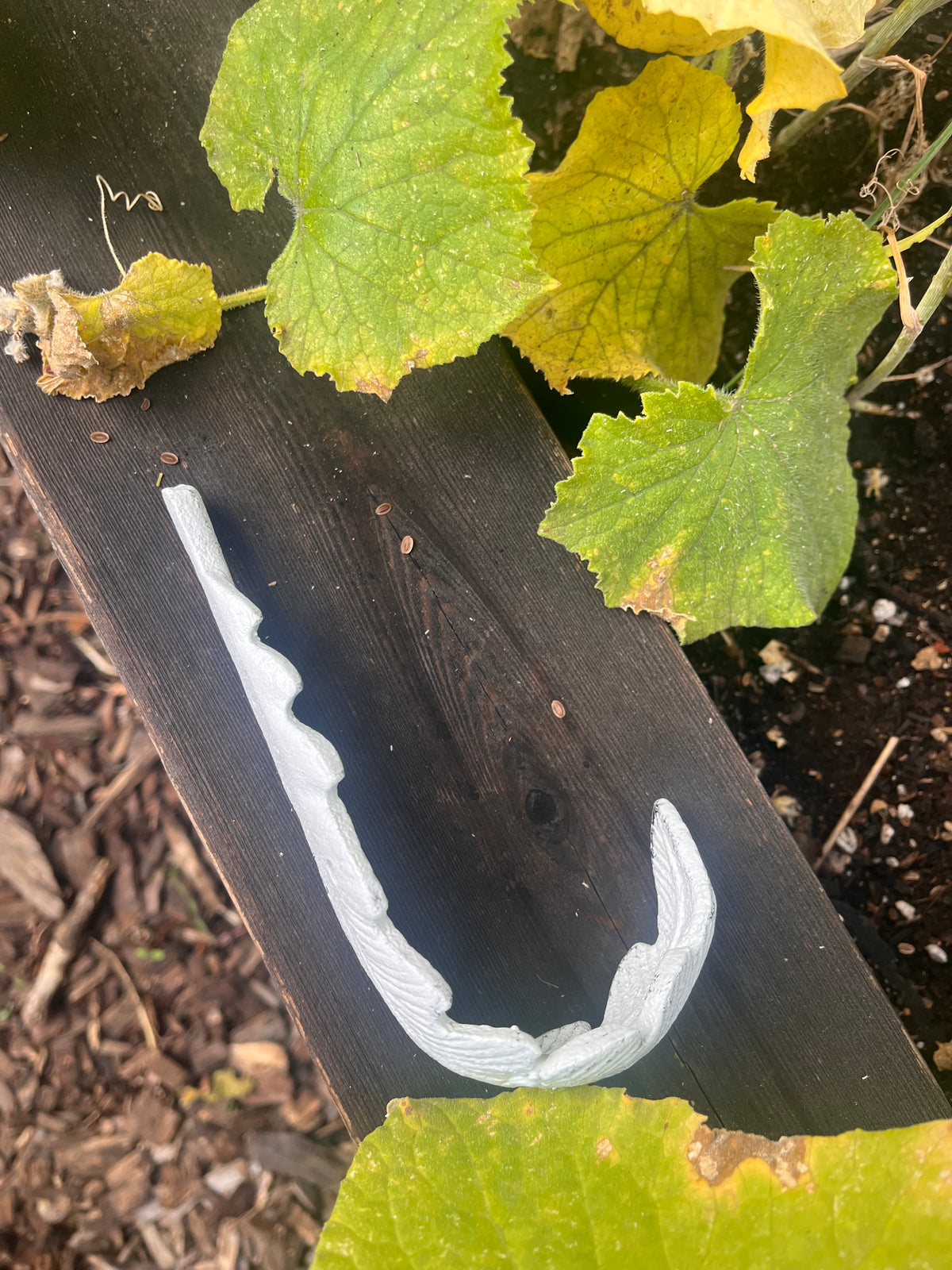 Whitewashed Feather Cast Iron Hook