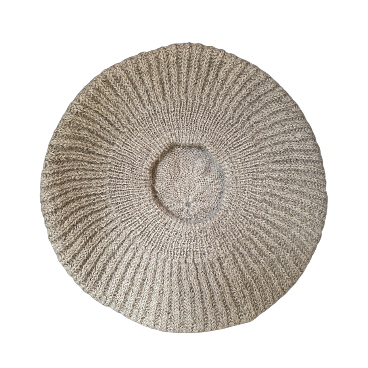 The Alpaca Wool Beret by 1 Life - Sand Color
