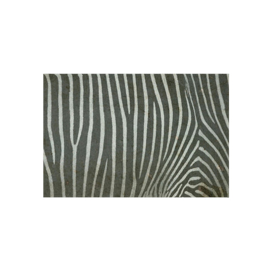 Zebra Print Outdoor Rug