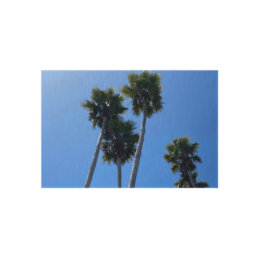 Outdoor Rug with Palm Trees - Photo of Santa Cruz Sky